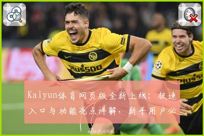 Kaiyun体育网页版全新上线：极速入口与功能亮点详解，新手用户必看指南