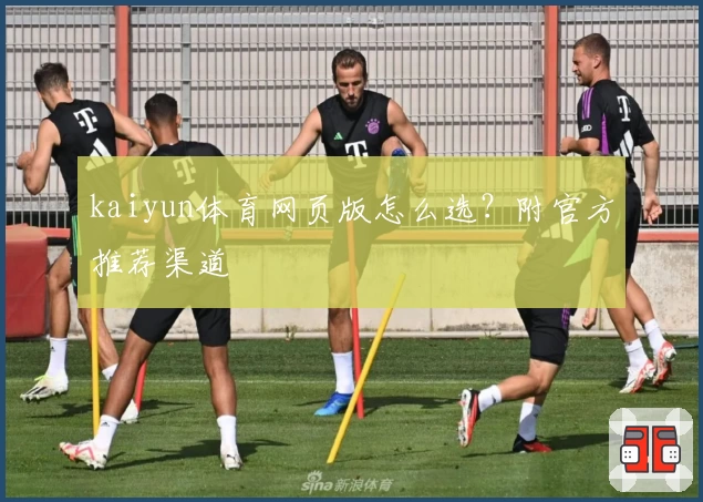 kaiyun体育网页版怎么选？附官方推荐渠道