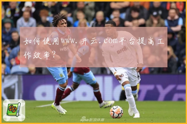 如何使用www.开云.com平台提高工作效率？