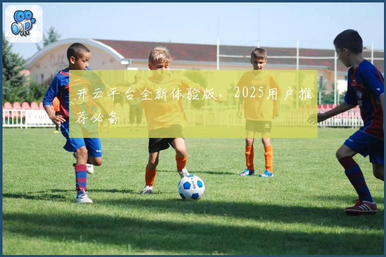 开云平台全新体验版，2025用户推荐必备