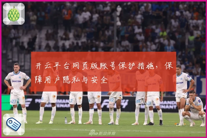 开云平台网页版账号保护措施，保障用户隐私与安全