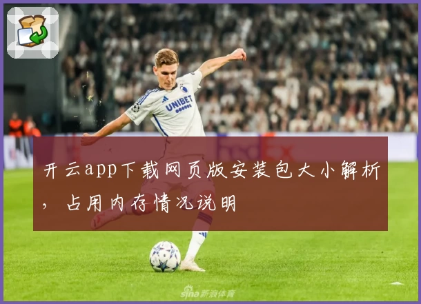 开云app下载网页版安装包大小解析,占用内存情况说明