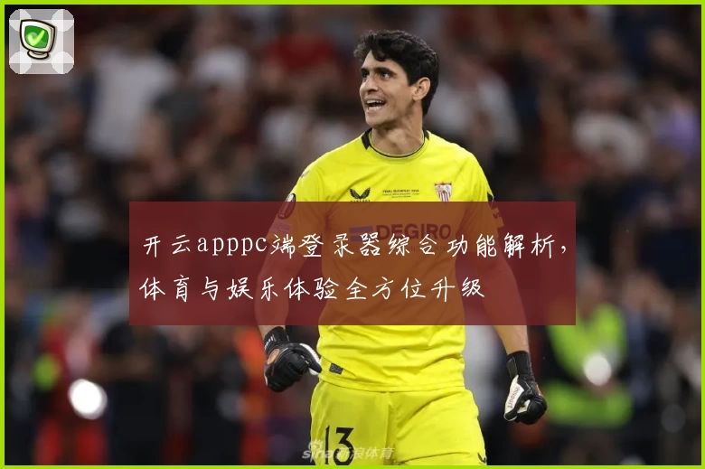 开云apppc端登录器综合功能解析，体育与娱乐体验全方位升级